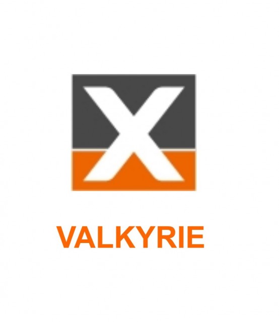 Xena Valkyrie L2-3层测试平台